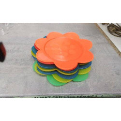 ASSIETTES FLEURS PLASTIQUE 