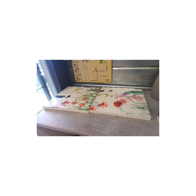 TOILE COQUELICOTS 