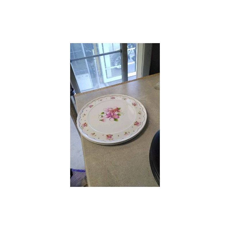 ASSIETTE PLASTIQUE X2