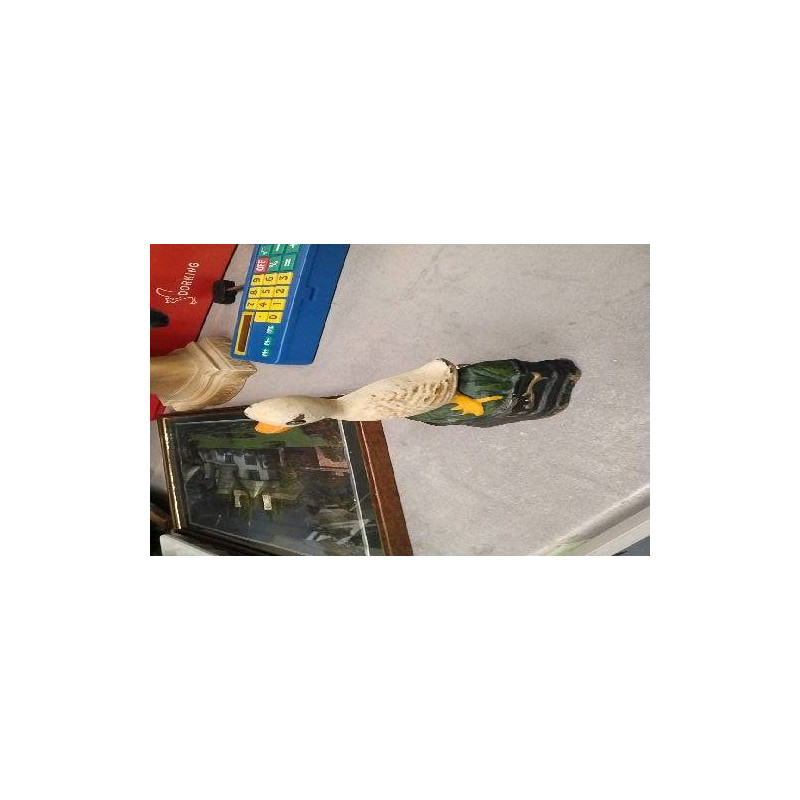 DECO CANARD FONTE PM 