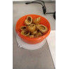 COQUILLES A ESCARGOTS LE LOT 