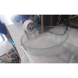 PLAT OVALE VERRE