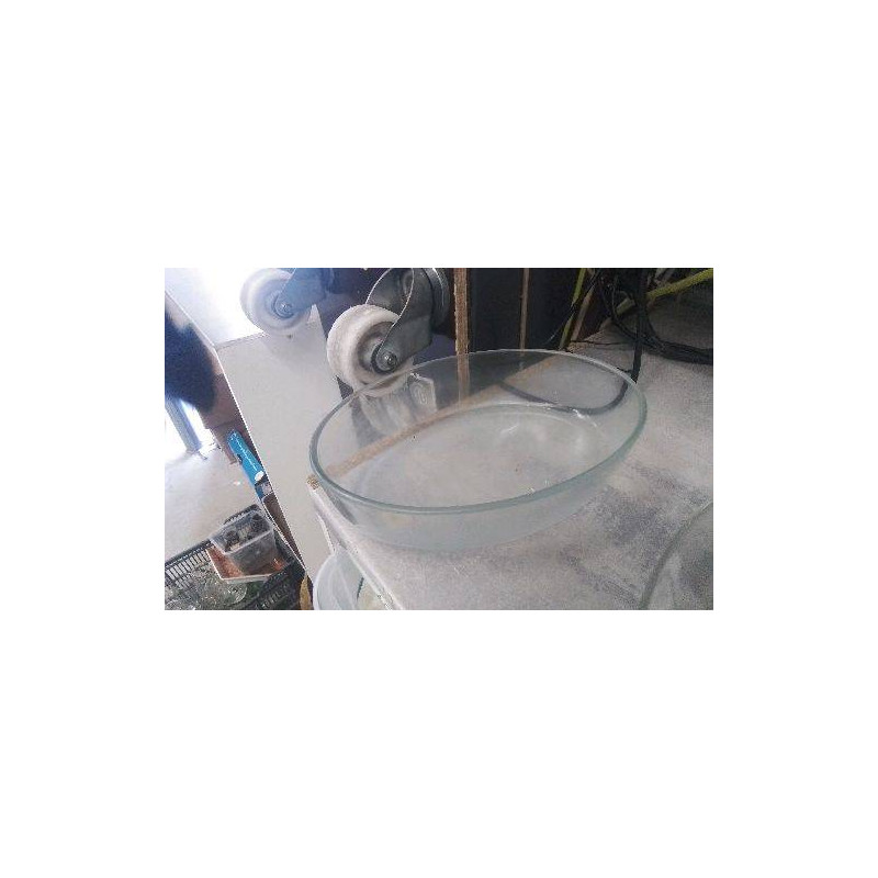 PLAT OVALE VERRE
