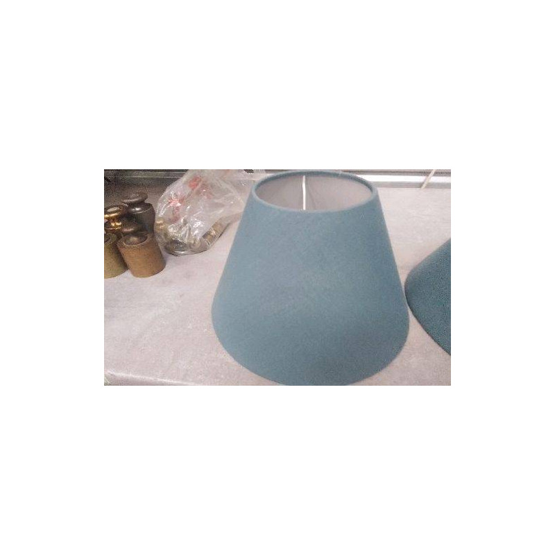 ABAT JOUR BLEU