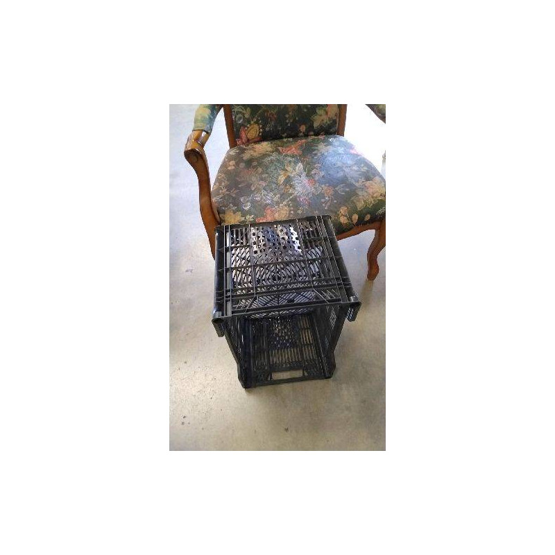 CAISSE PLASTIQUE 