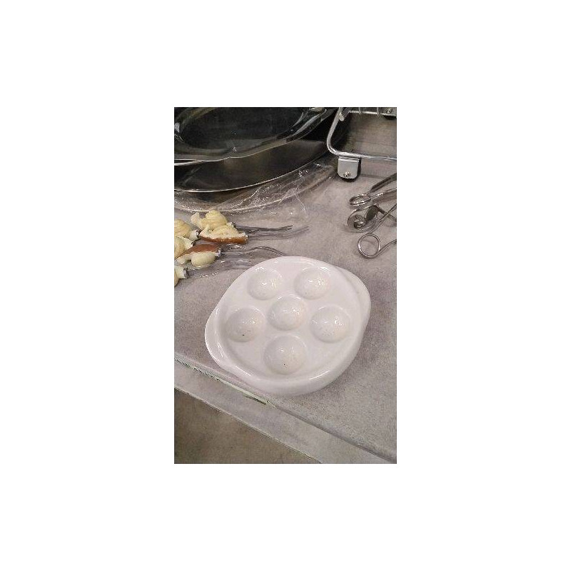 ASSIETTE ESCARGOTS 