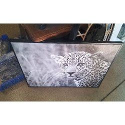 TOILE PANTHERE 