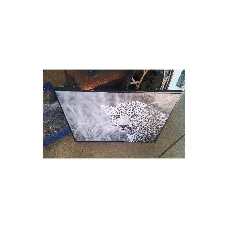 TOILE PANTHERE 