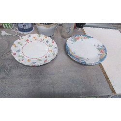 ASSIETTES ARCOPAL 