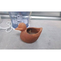 POT CANARD EN TERRE PM 