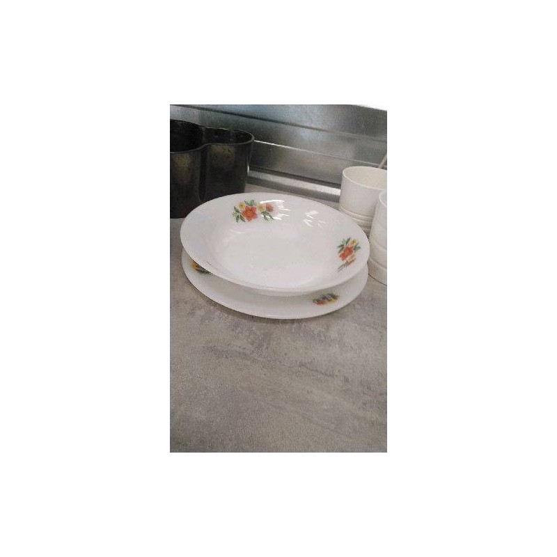PLATS ARCOPAL X2