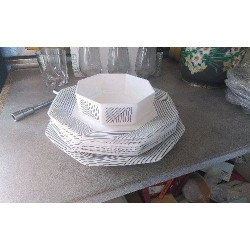 ASSIETTES + PLAT ARCOPAL