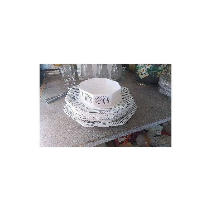 ASSIETTES + PLAT ARCOPAL