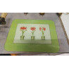 PLANCHE A DECOUPER VERRE