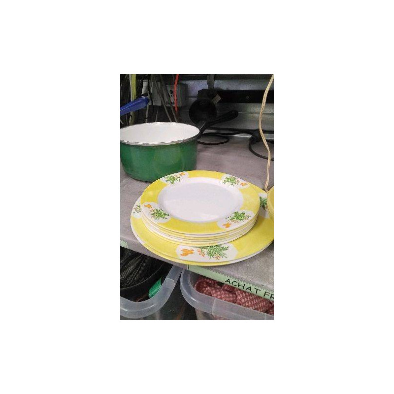 ASSIETTES PLASTIQUE 
