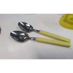 CUILLERE GM X2