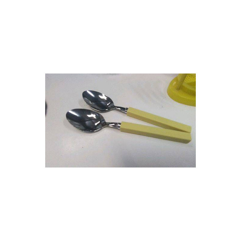 CUILLERE GM X2