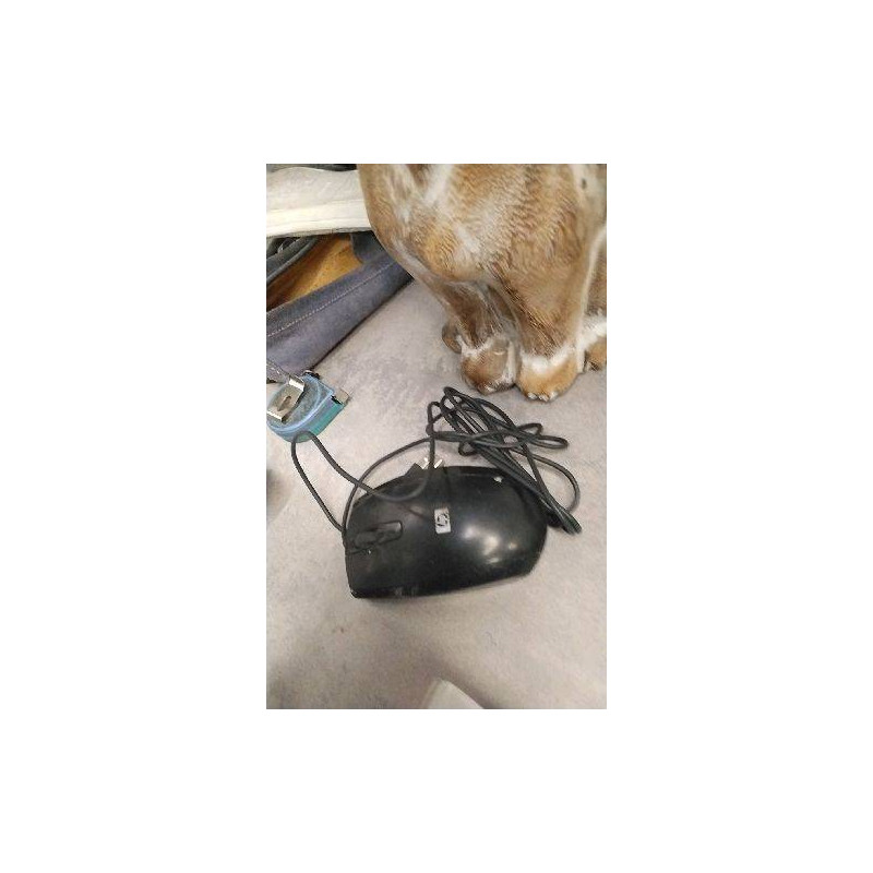SOURIS USB