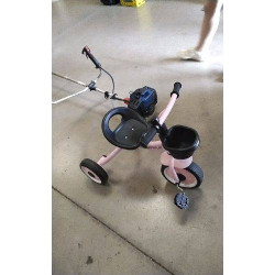 TRICYCLE ROSE AIYAPLAY