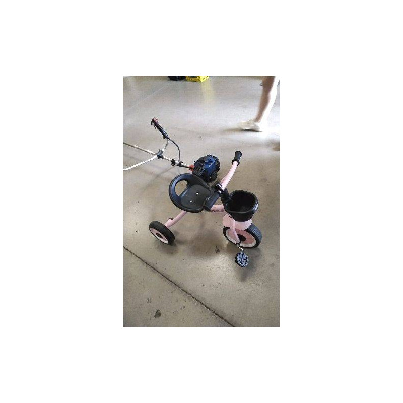 TRICYCLE ROSE AIYAPLAY