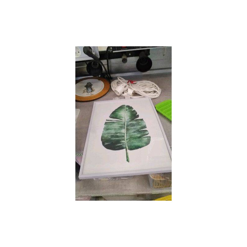 CADRE FEUILLES 