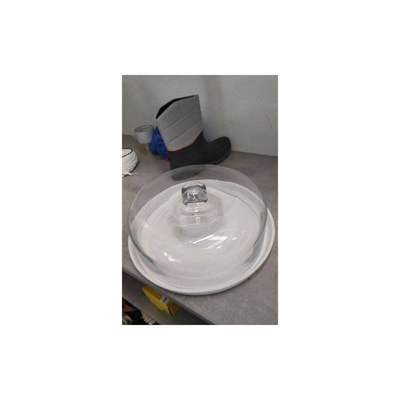 PLATEAU PORCELAINE/ CLOCHE VERRE 30CM - CYRIL LIGNAC
