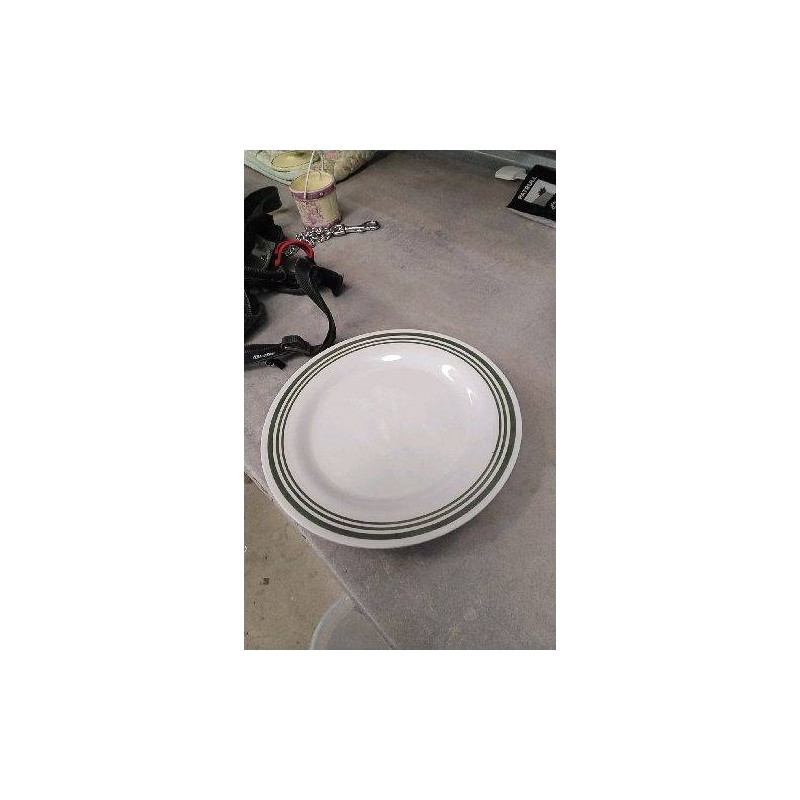 ASSIETTE PLASTIQUE LE LOT