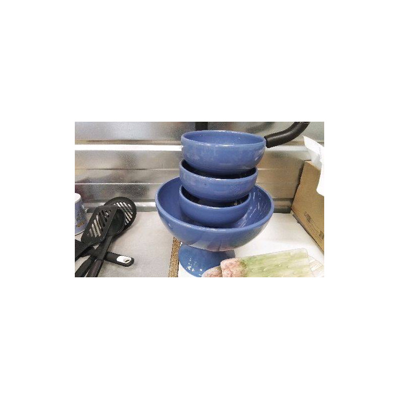 SERVICE A SALADE DE FRUITS BLEU 