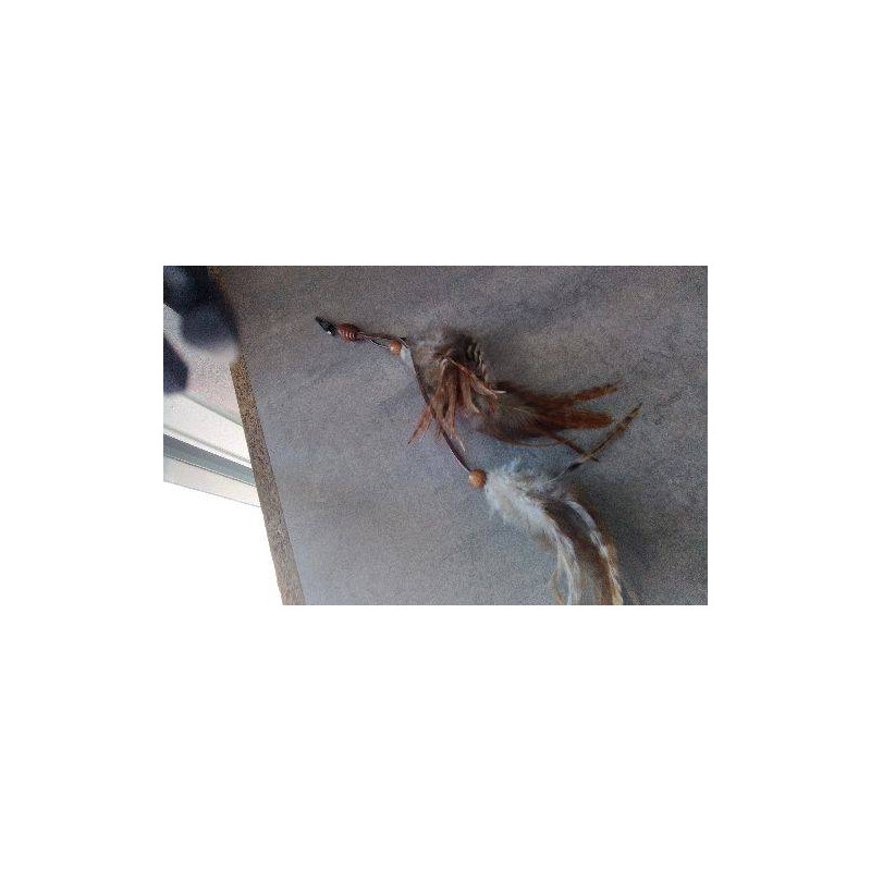 DECO PLUMES A PINCER