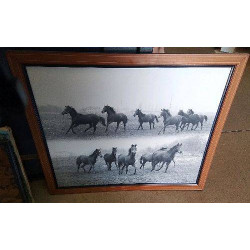CADRE CHEVAUX