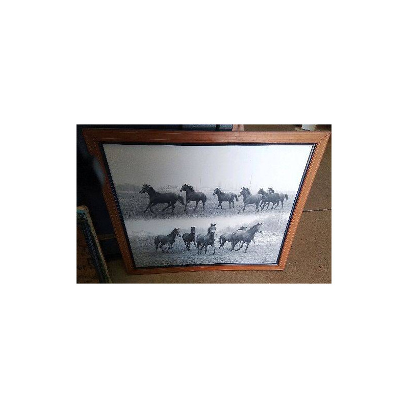 CADRE CHEVAUX