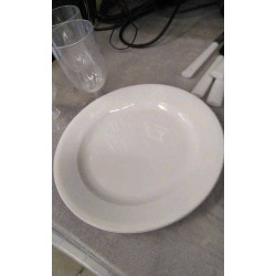 ASSIETTE PLASTIQUE LE LOT