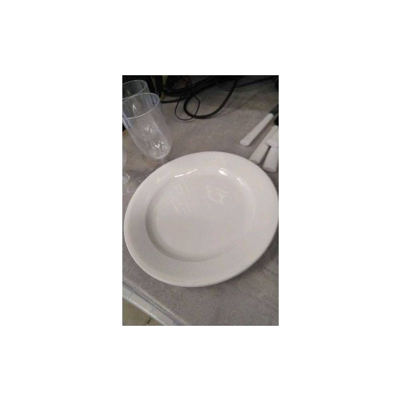 ASSIETTE PLASTIQUE LE LOT