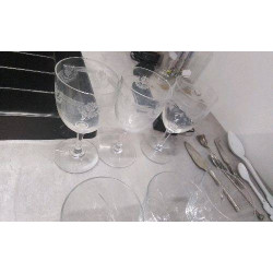 VERRES CRISTAL X3 
