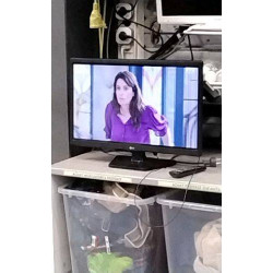 ECRAN TNT HD 60CM LG