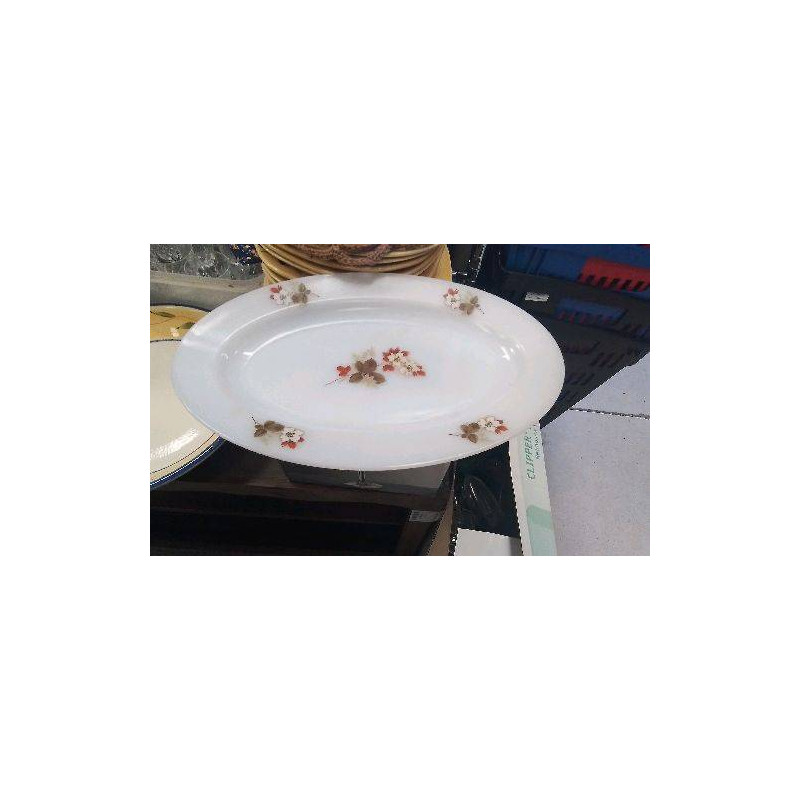PLAT OVALE ARCOPAL