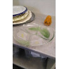 PLAT COMPARTIMENTS VERRE 
