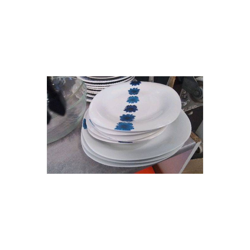 ASSIETTES FLEURS BLEUES LE LOT