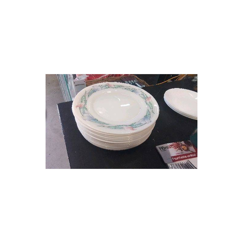 ASSIETTES ARCOPAL