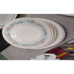 ASSIETTE ARCOPAL LE LOT