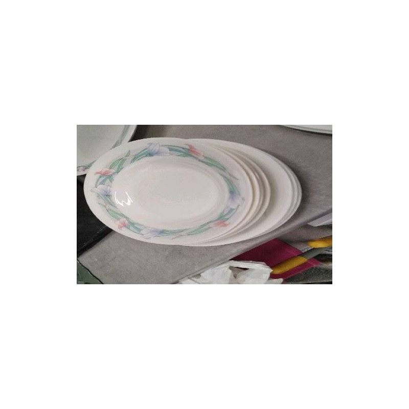 ASSIETTE ARCOPAL LE LOT