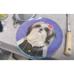 ASSIETTES CHIEN - CHAT...