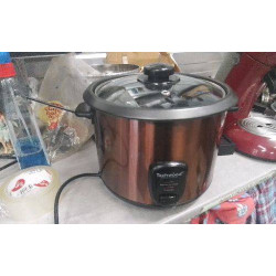 CUISEUR A RIZ TECHWOOD 