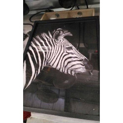 CADRE ZEBRE 