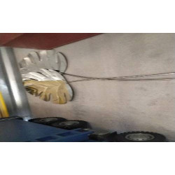 DECO FEUILLES DROITES -...