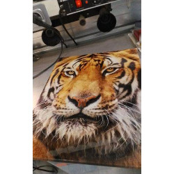 CADRE TIGRE 