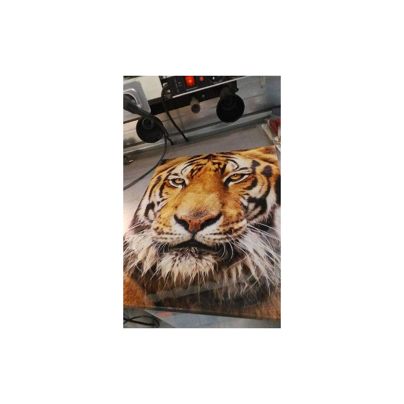 CADRE TIGRE 