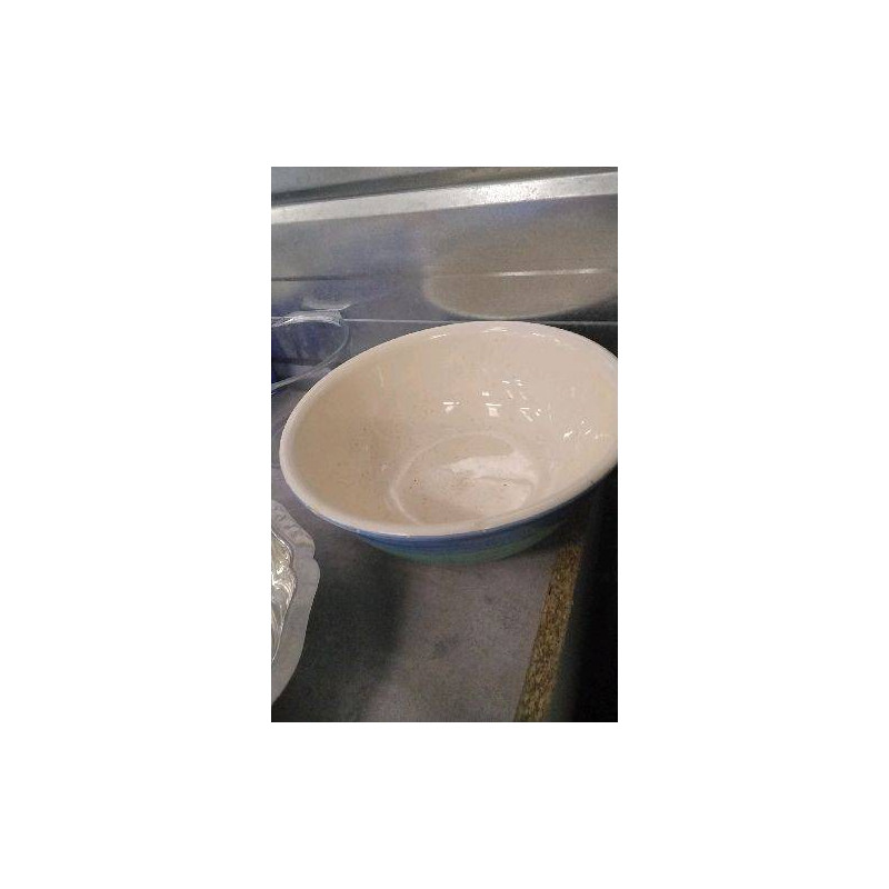 SALADIER BICOLORE 