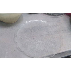 PLAT ROND VERRE 