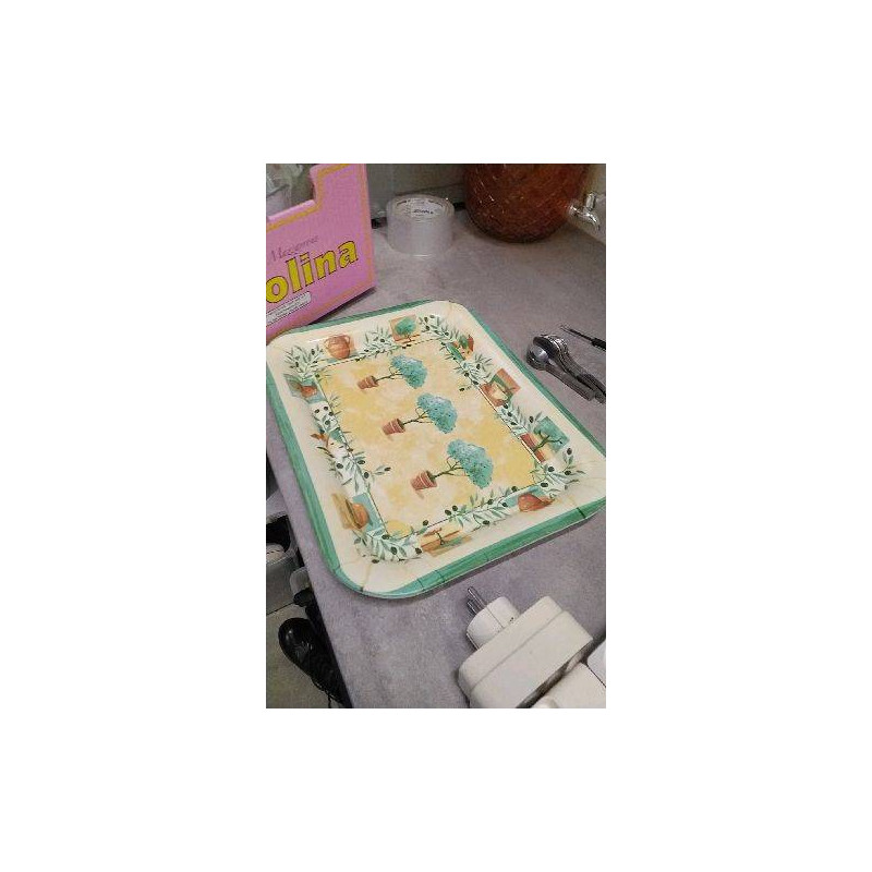 PLATEAU PLASTIQUE PM 